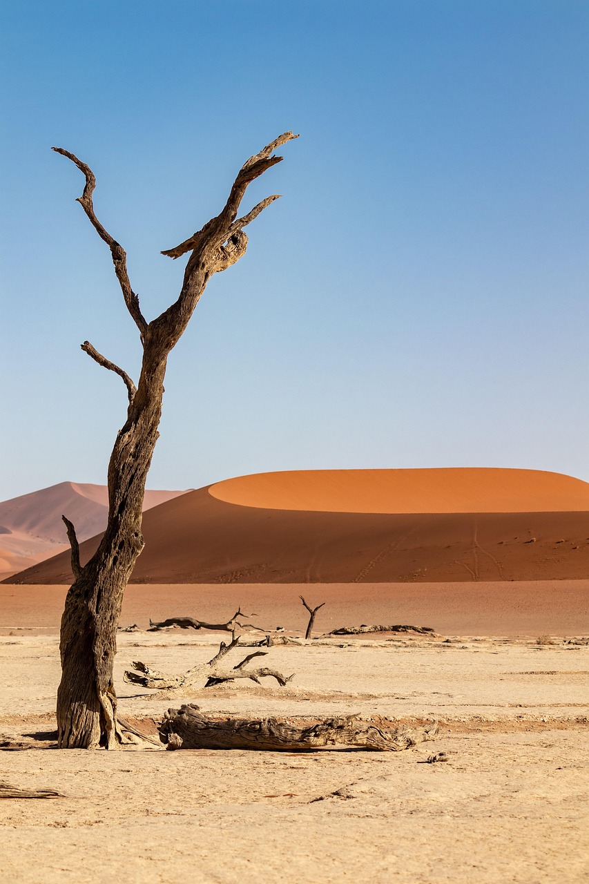 Explore Desert Estates: Nature, Culture, Outdoor Thrills Unveiled