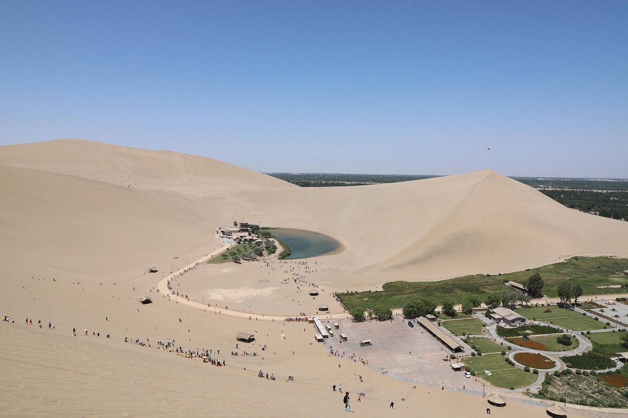 Explore Desert Oasis: Nature, Culture & Culinary Delights