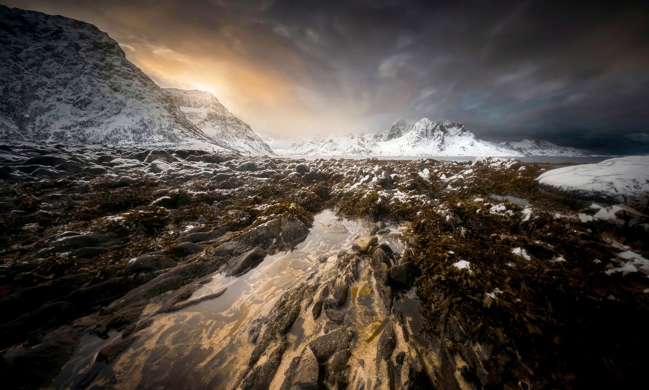 explore-edmontons-northlands-nature-cult-640x480-bz4q65