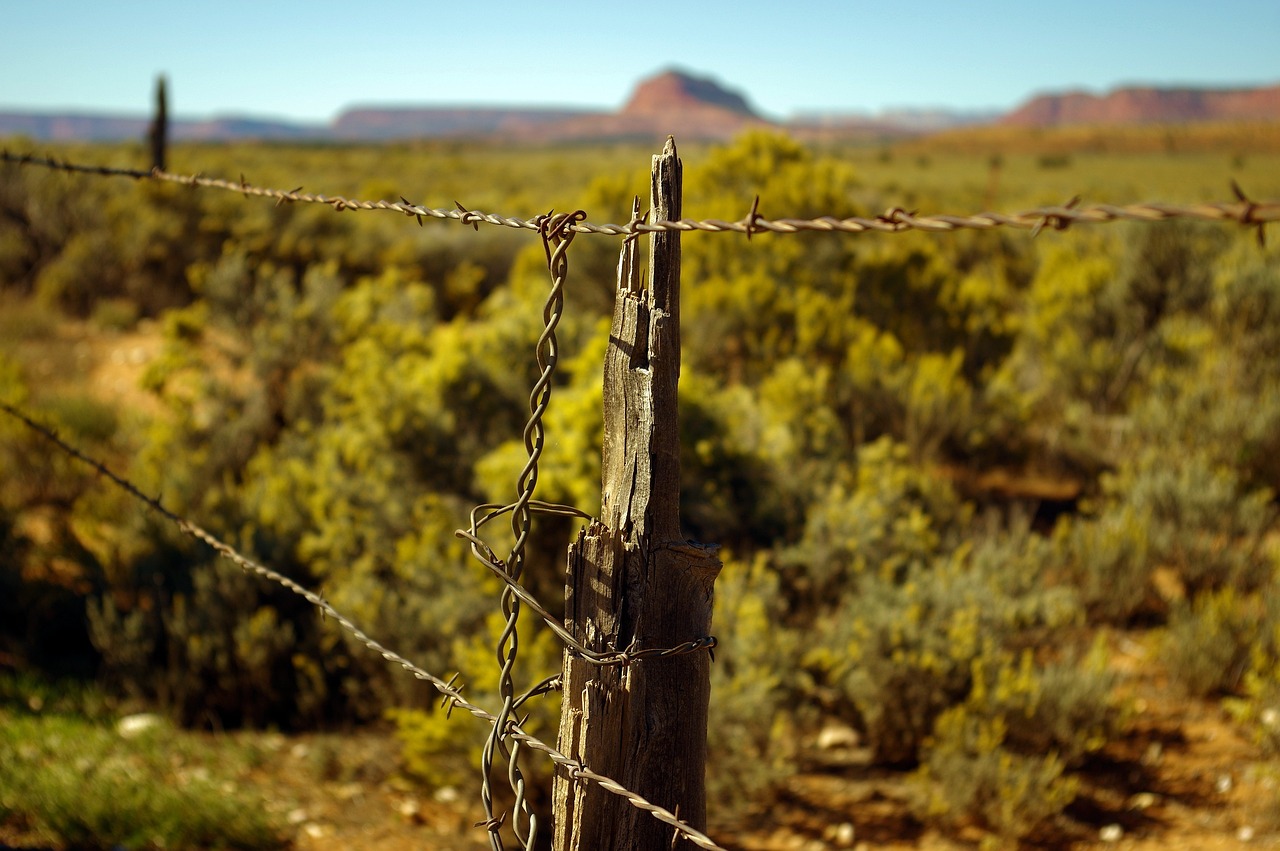 Explore Escalante: Nature, Culture & Culinary Delights
