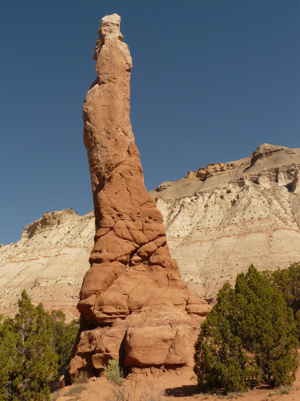 Explore Escalantes Surroundings: Nature, Culture, and Adventure Await