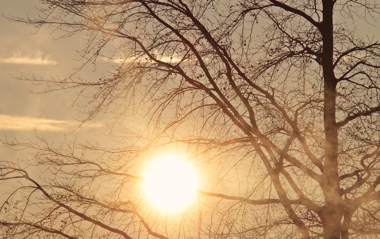 Explore Morning Sun Farms Natural, Cultural Treasures