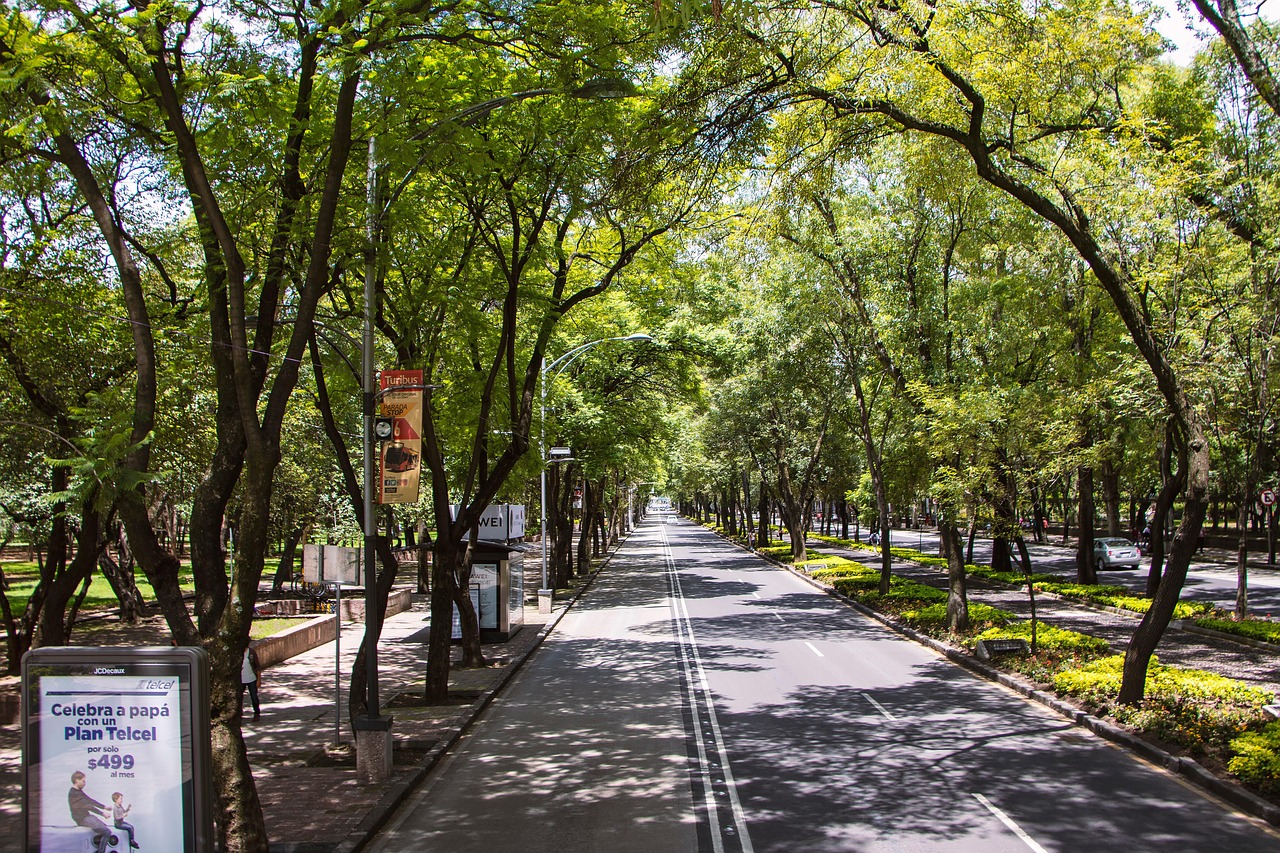 Explore Park Paseos Culture & Cuisine