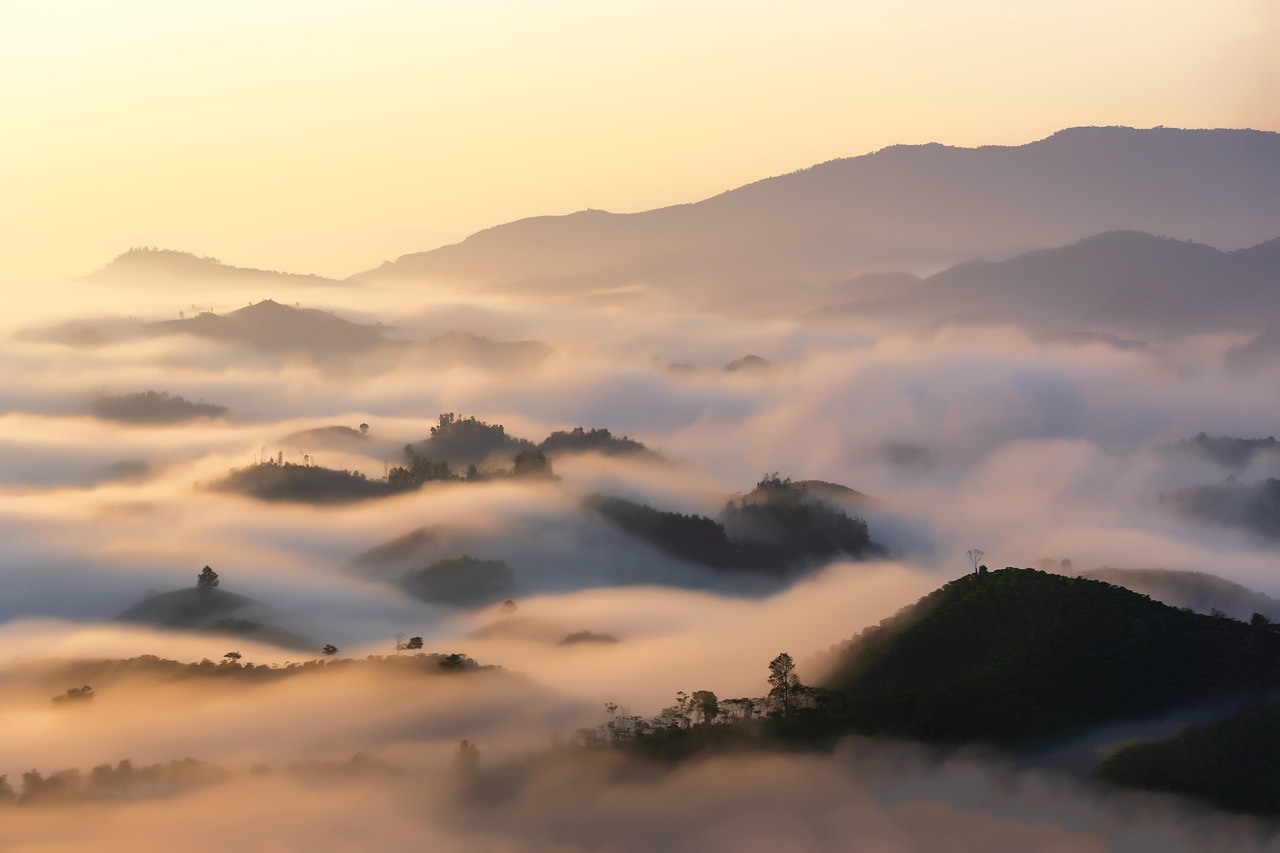Explore Sunrise Vista: Nature, Culture, Outdoor Adventures Unveiled