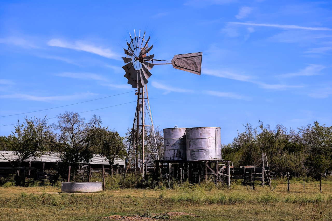Exploring Austins Breweries: The Ultimate Crawls for Things to Do
