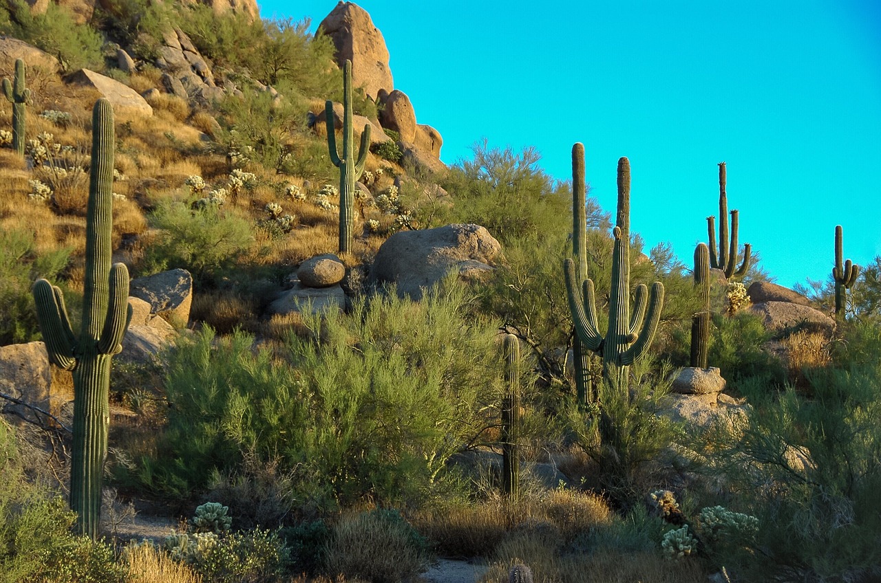 Master Scottsdale Arizona Seller Strategies for Success