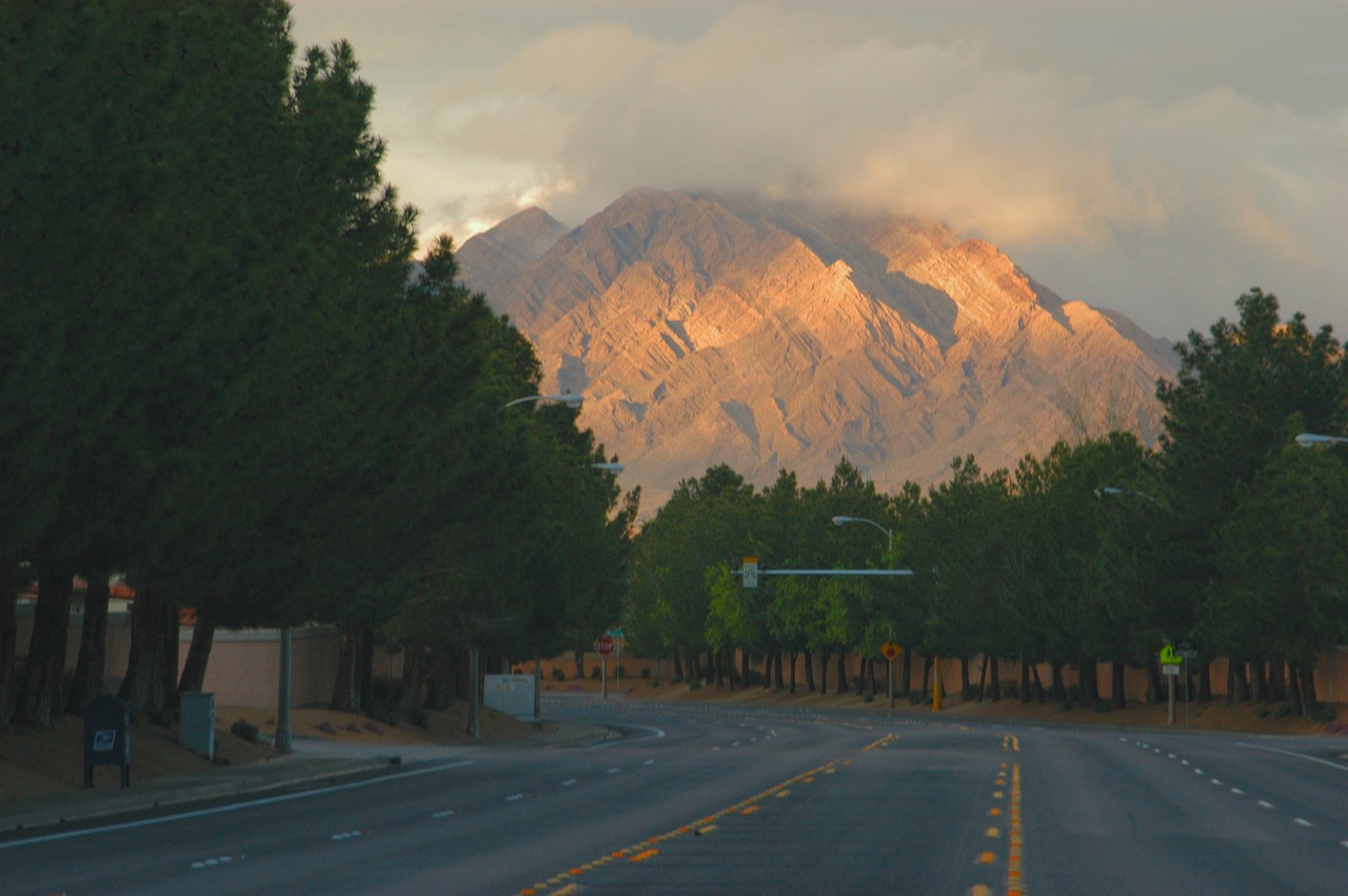 Mastering Charleston Estates: Sales & Client Relationships
