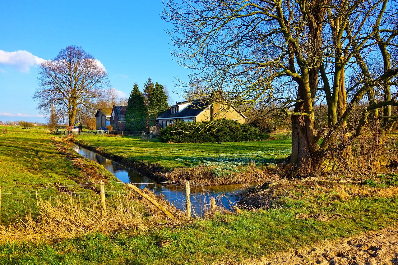 Mastering Church Farm Real Estate: Strategies for Success