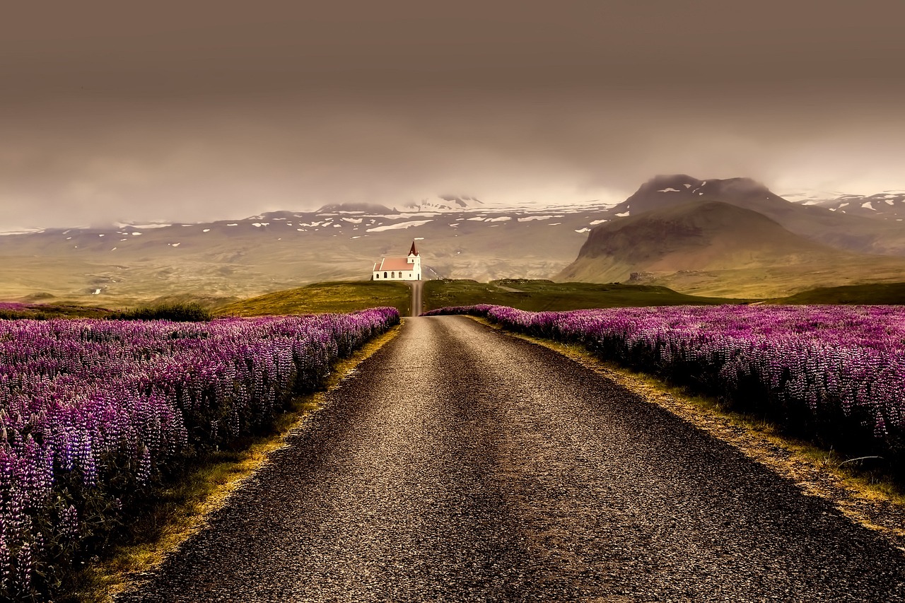 Mastering Church Farm Sales: Strategies for Success