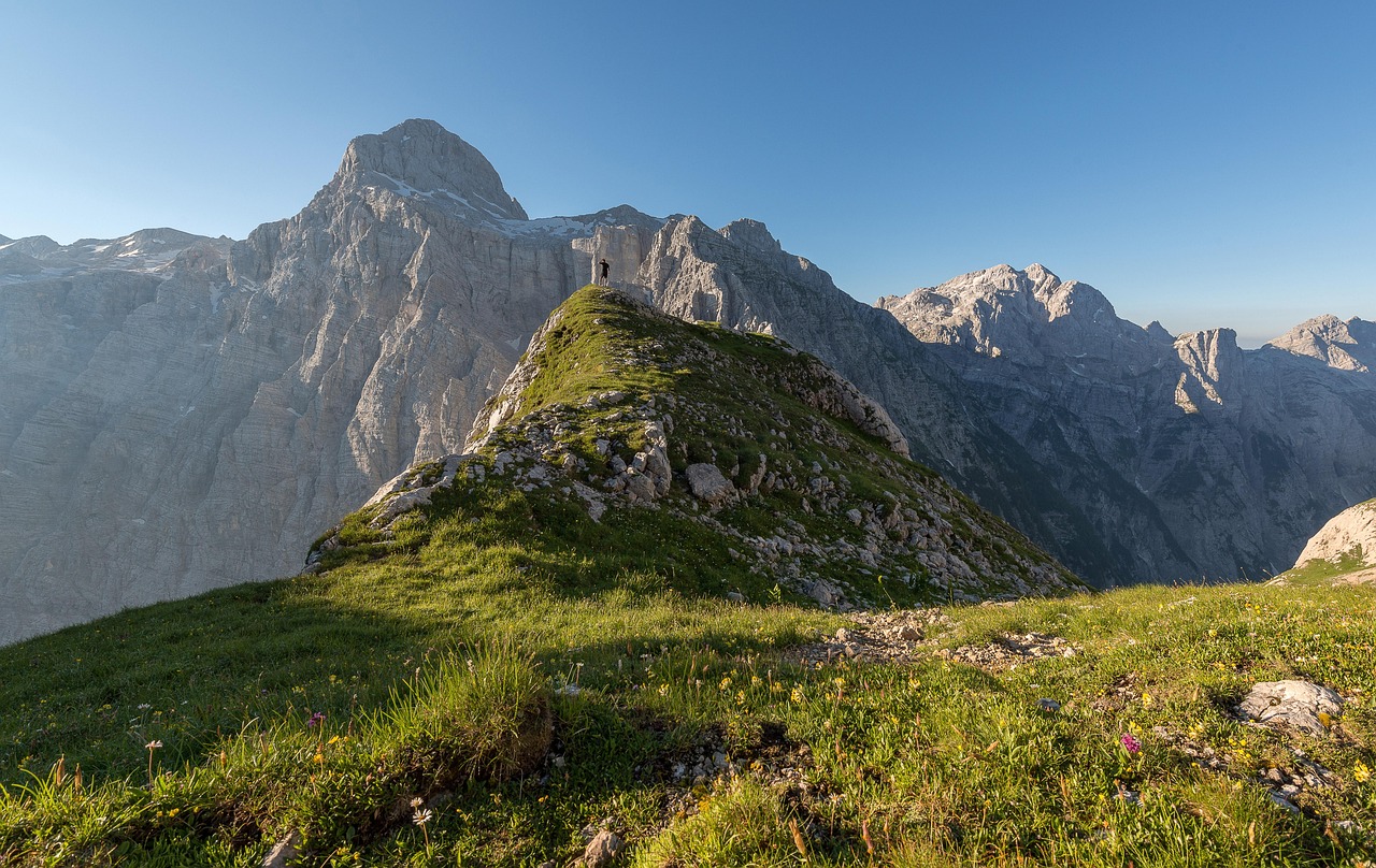 Mastering Market Insights: Pinnacle Peak Estates Tips for Successful Listings