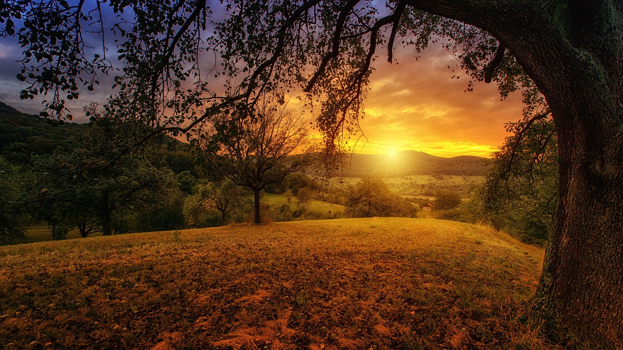 Mastering Orange Tree Golf Realty: Tips & Strategies for Success