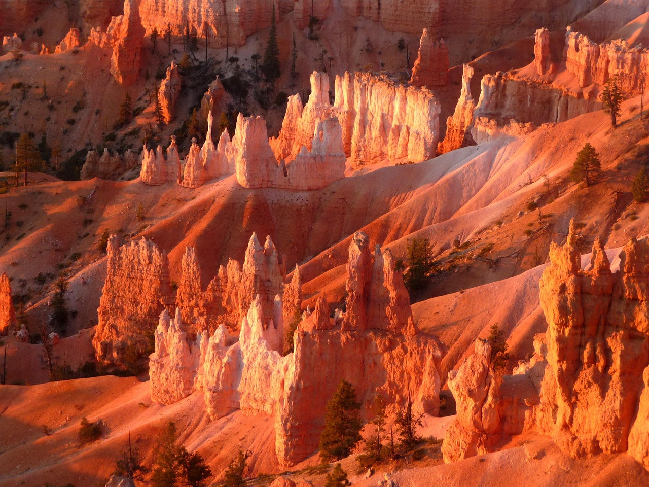 Mastering The Lodge at Ventana Canyon Residential Buying Guide