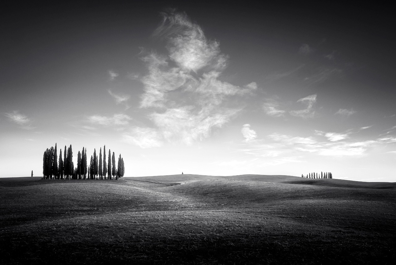 Mastering Tuscany Bay Real Estate: Seller Strategies for Success
