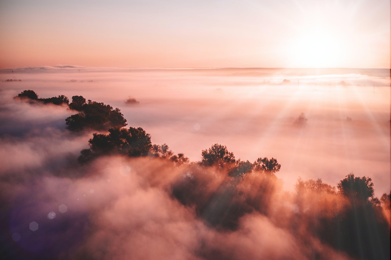 Morning Sun Farms: Unveiling Hidden Gems for All Ages