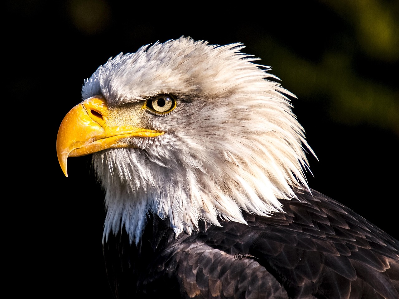Navigating Eagle Mountain Real Estate: Expert Strategies for Success