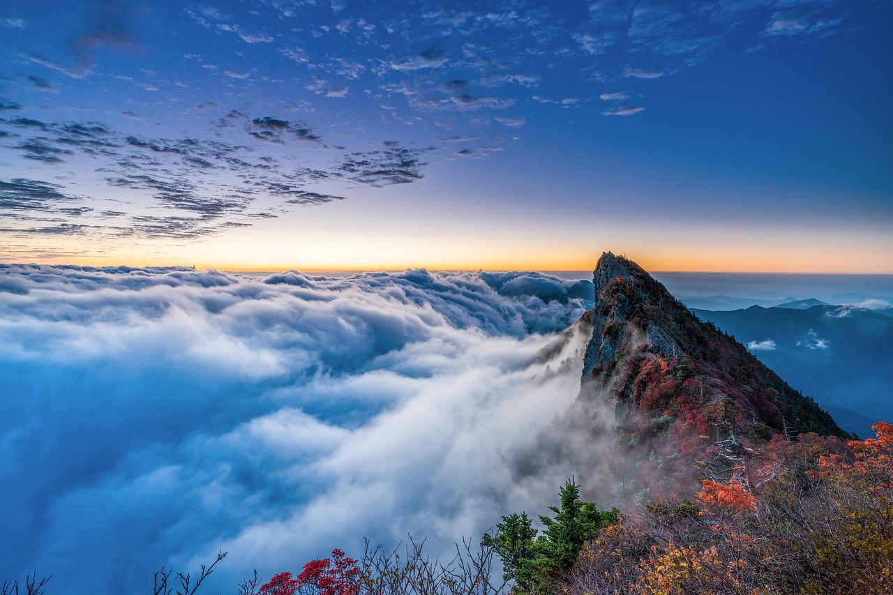Navigating Mount Lemmon Scenic Byway: Real Estate Insights Unveiled