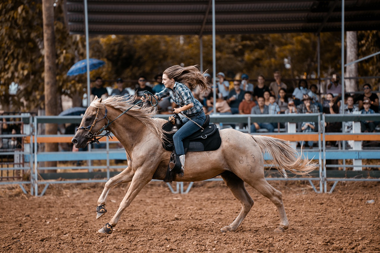 Realtor Tips for Show Low Arizona Success