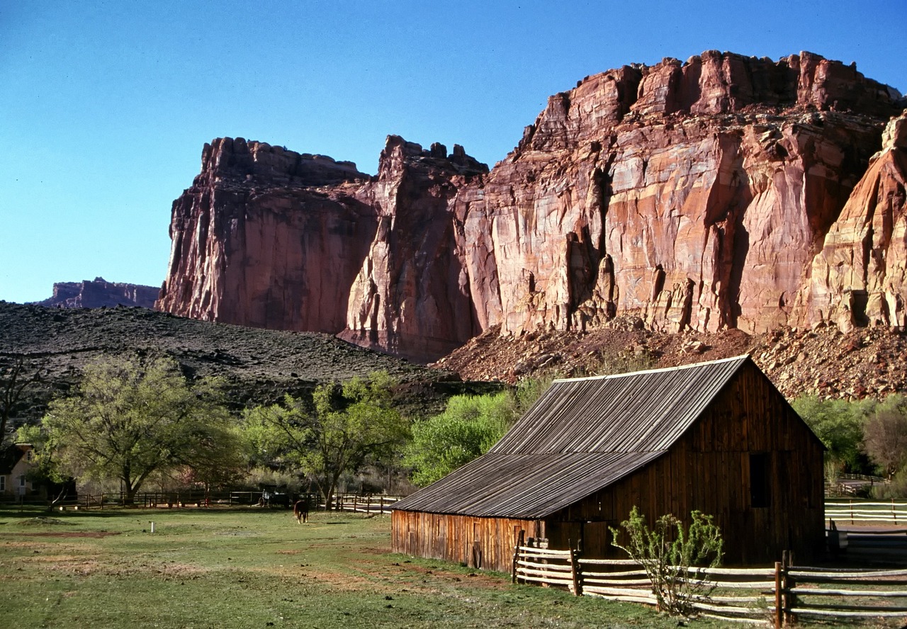 Realtors Guide to Happy Valley Ranch: Buy & Sell Strategically