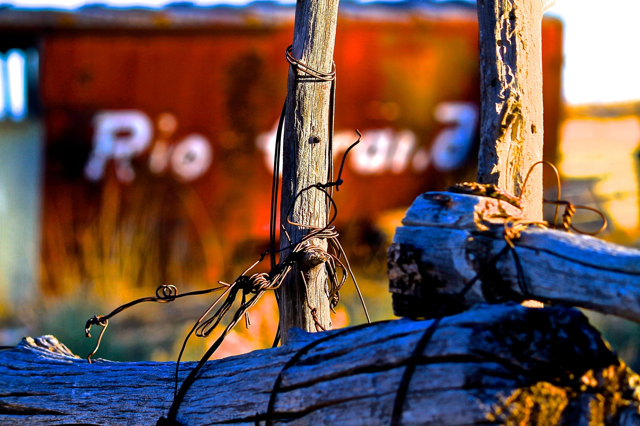 San Tan Ranch Real Estate: Expert Tips for Success