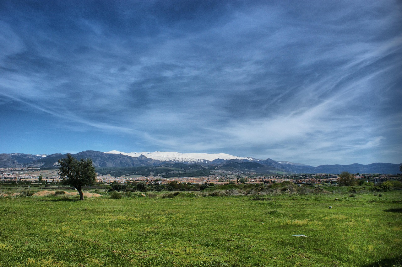 seller-secrets-unlocking-corte-sierras-m-640x480-jqkz1a