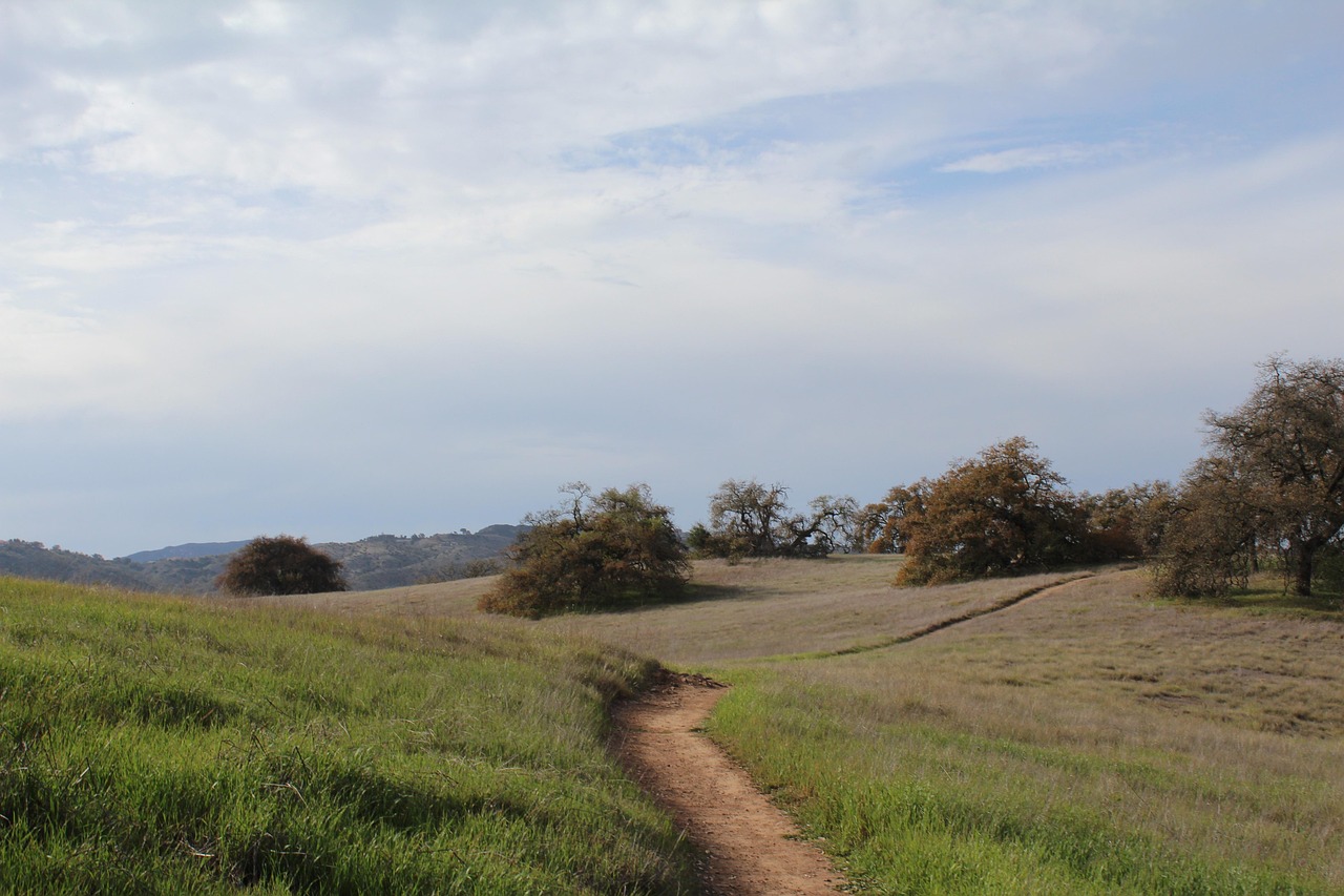Seller Success at Santa Rosa Crossing: Strategies for Victory