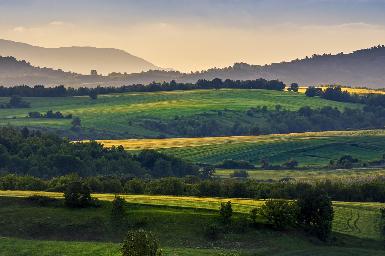 uncover-anderson-farms-surroundings-adve-640x480-474yu4