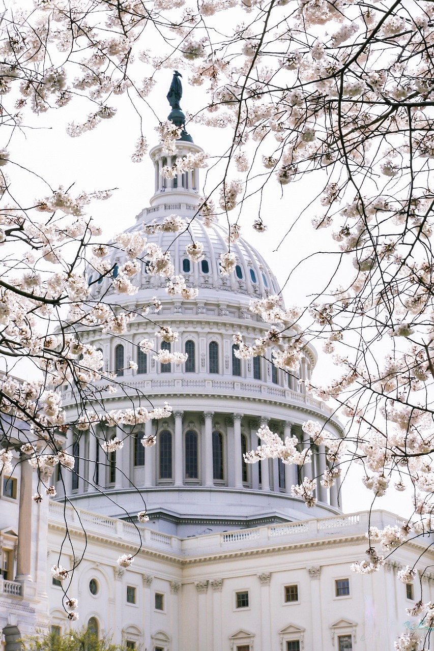Uncover DC Ranch: Adventures, Culture, and Dining Gems