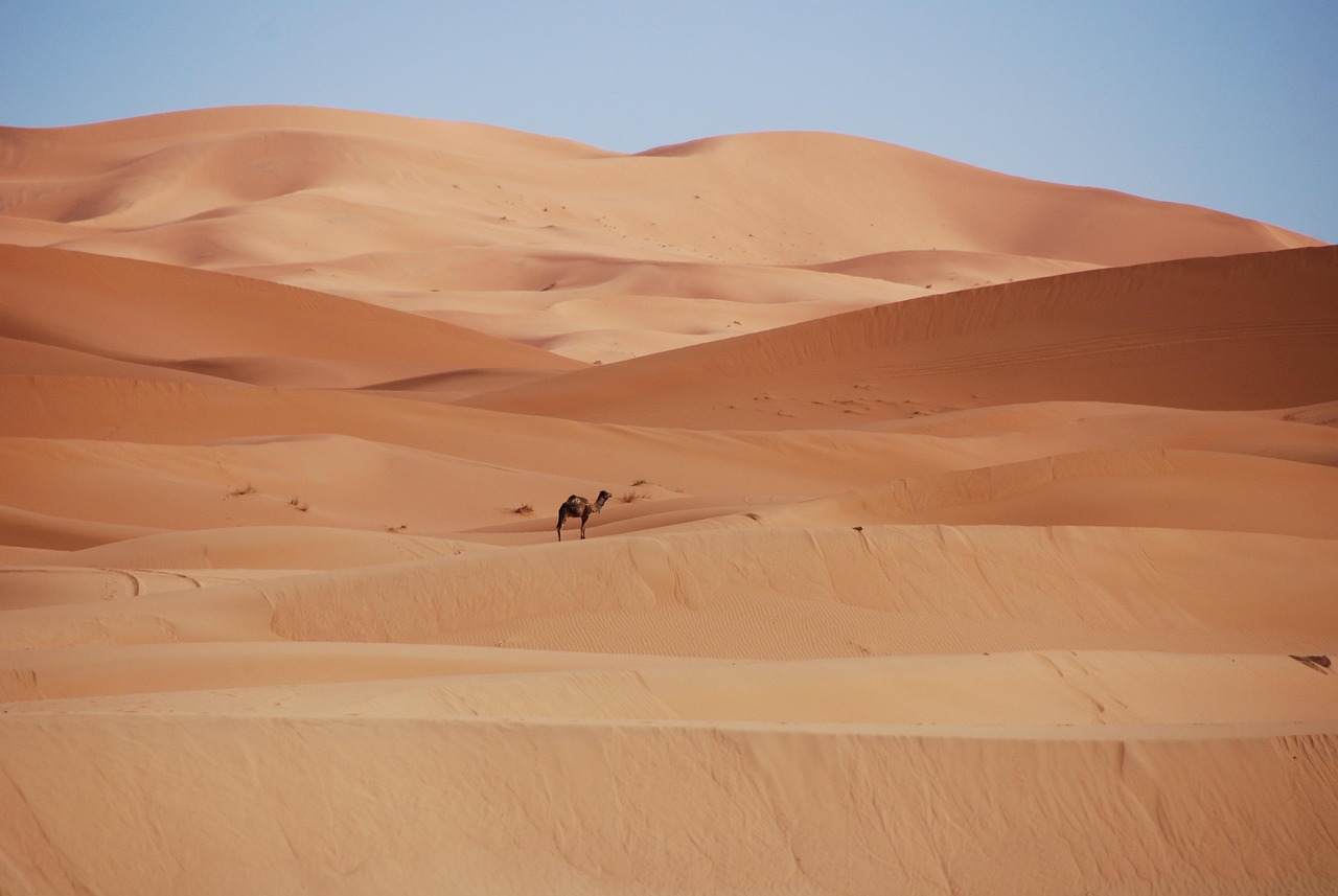 uncover-desert-sands-adventures-culture-640x480-hkpcxt