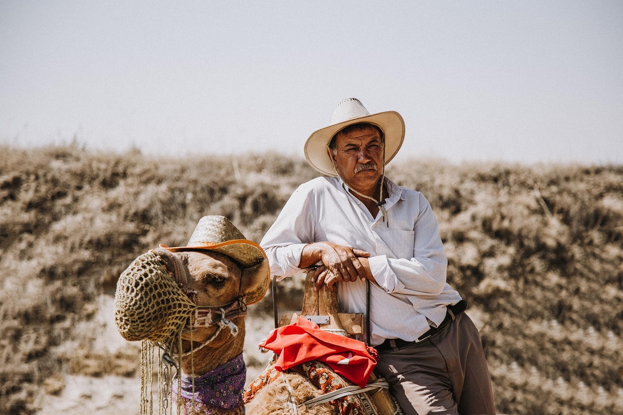 Uncover Desert Sky Ranchs Surroundings: Adventures, Culture, Dining