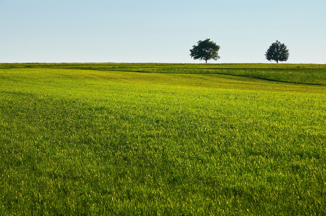 Uncover Green Valley Estates Luxurious Outdoor Secrets & Country Club Charm