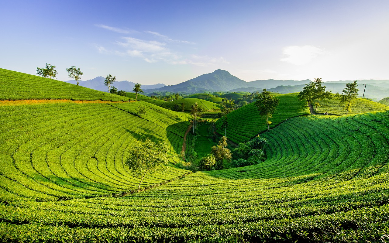 Uncover Hidden Hills: Nature, Culture, and Cuisine Adventures