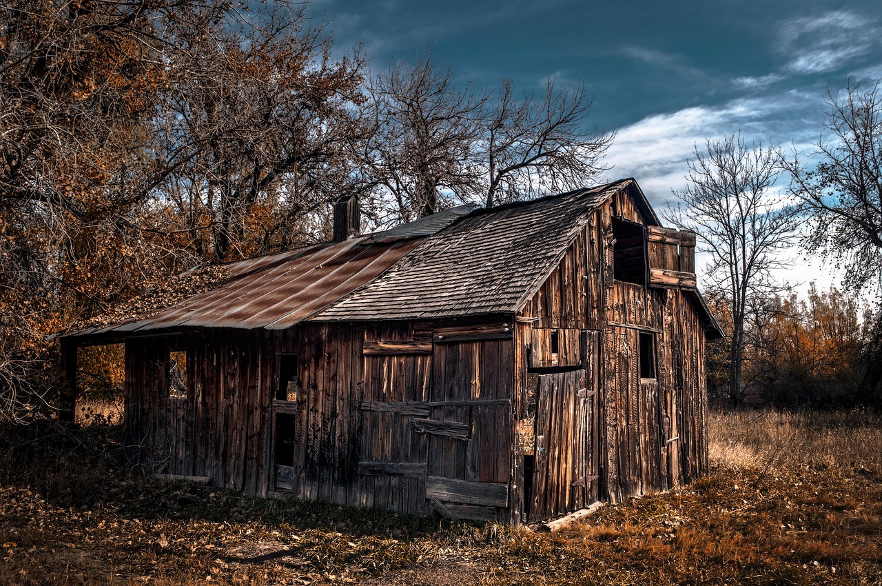 uncover-homestead-nature-culture-and-cul-640x480-i13thl