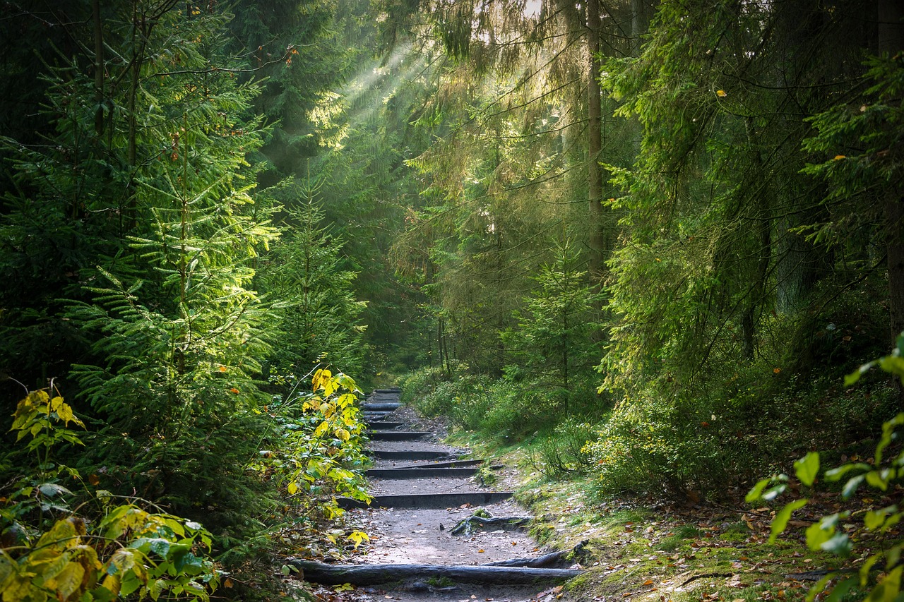 Uncover Legend Trails Secrets: Nature, Culture & History