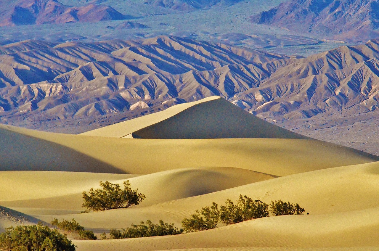 uncover-mesquite-nature-culture-fun-for-640x480-nbpey7
