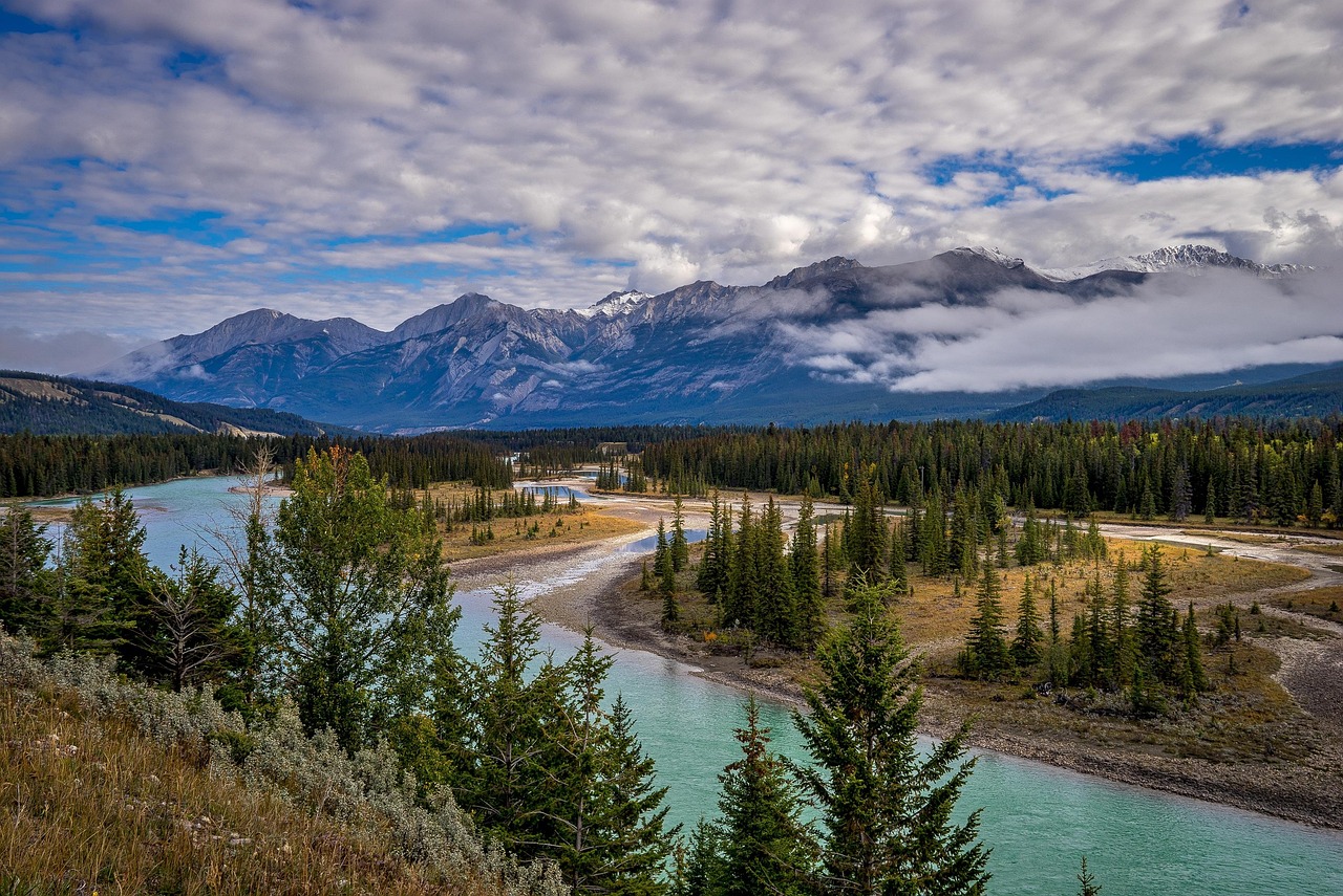 Uncover Mitchell Park Wests Treasures and Outdoor Joys