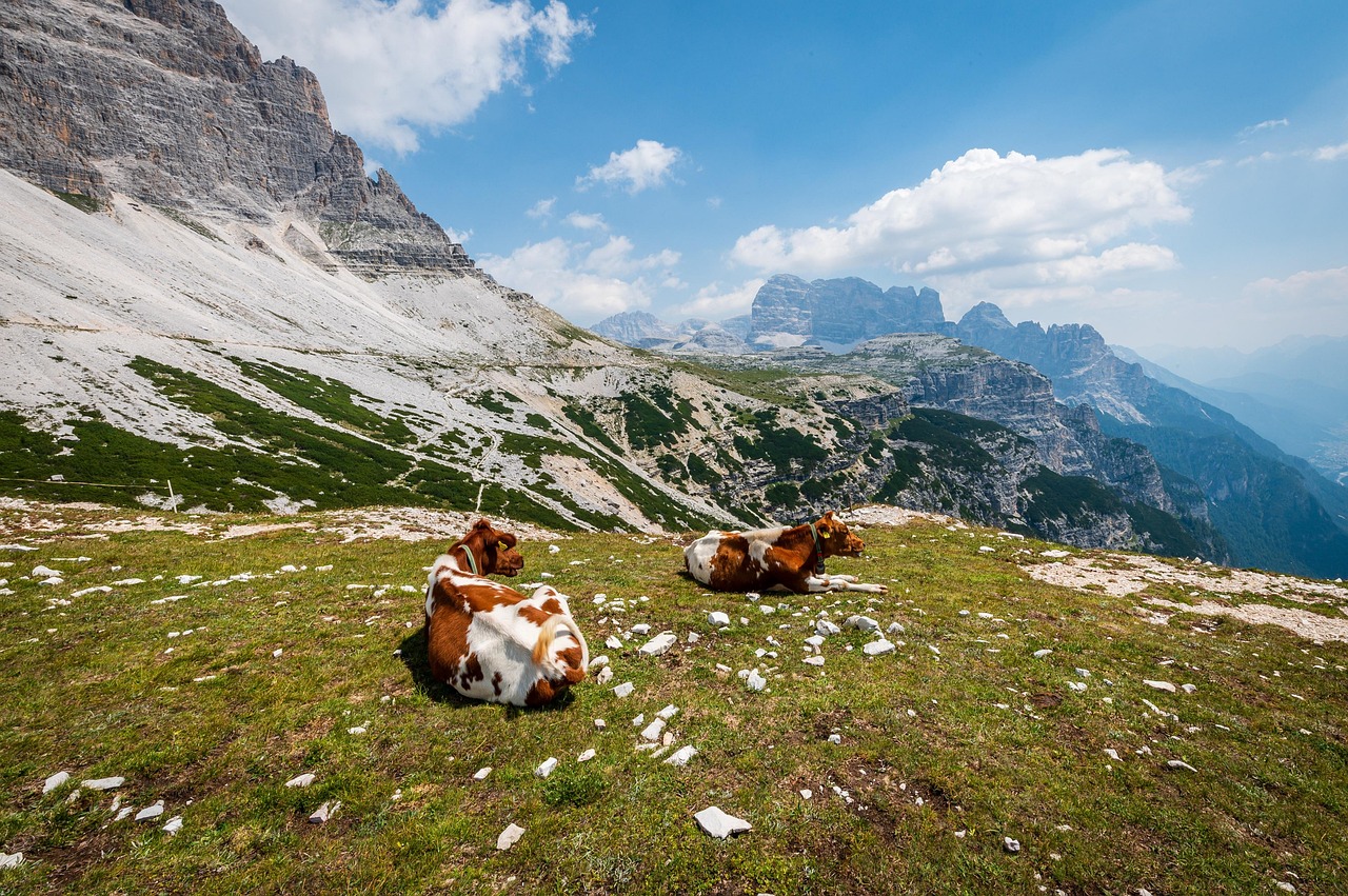 Uncover Mummy Mountain Estates Charms and Local Adventures