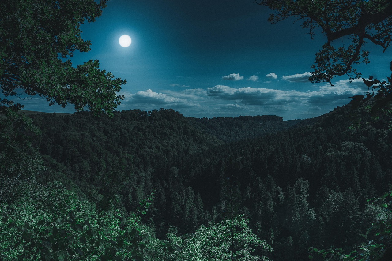 Uncover Northpointes Treasures: Nature, Culture, and Community
