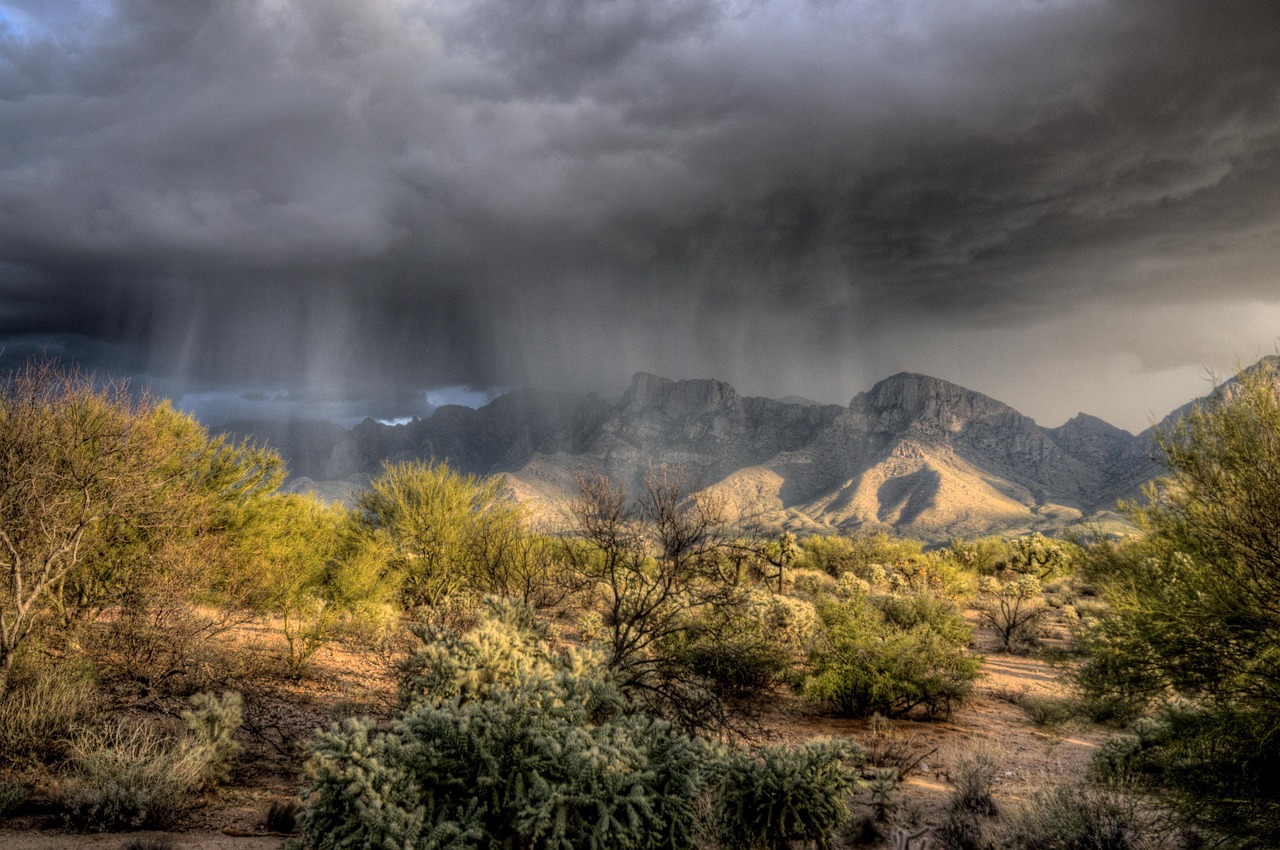 Uncover Oro Valleys Natural Treasures: Scenic Overlook Circuit