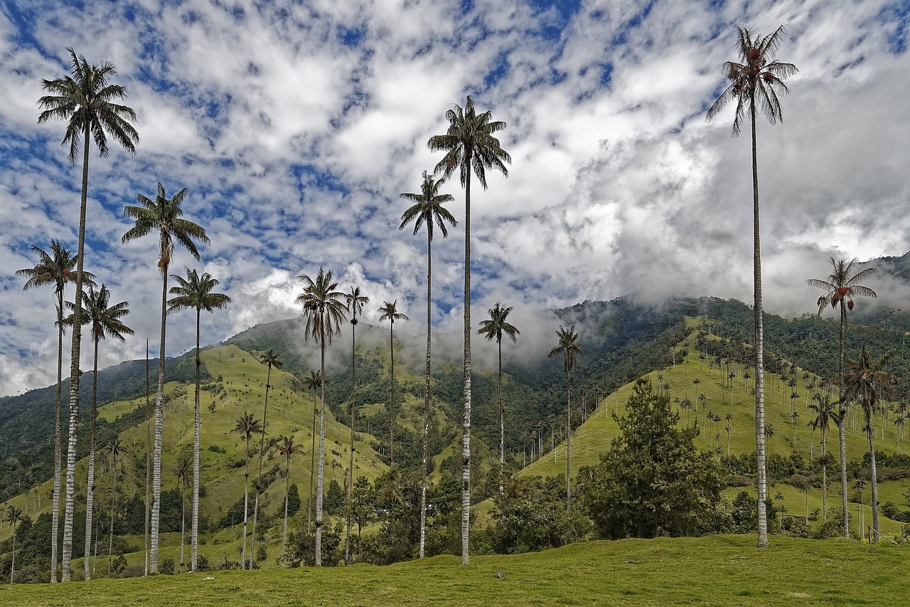 uncover-palm-valleys-secrets-adventure-c-640x480-gssgsm