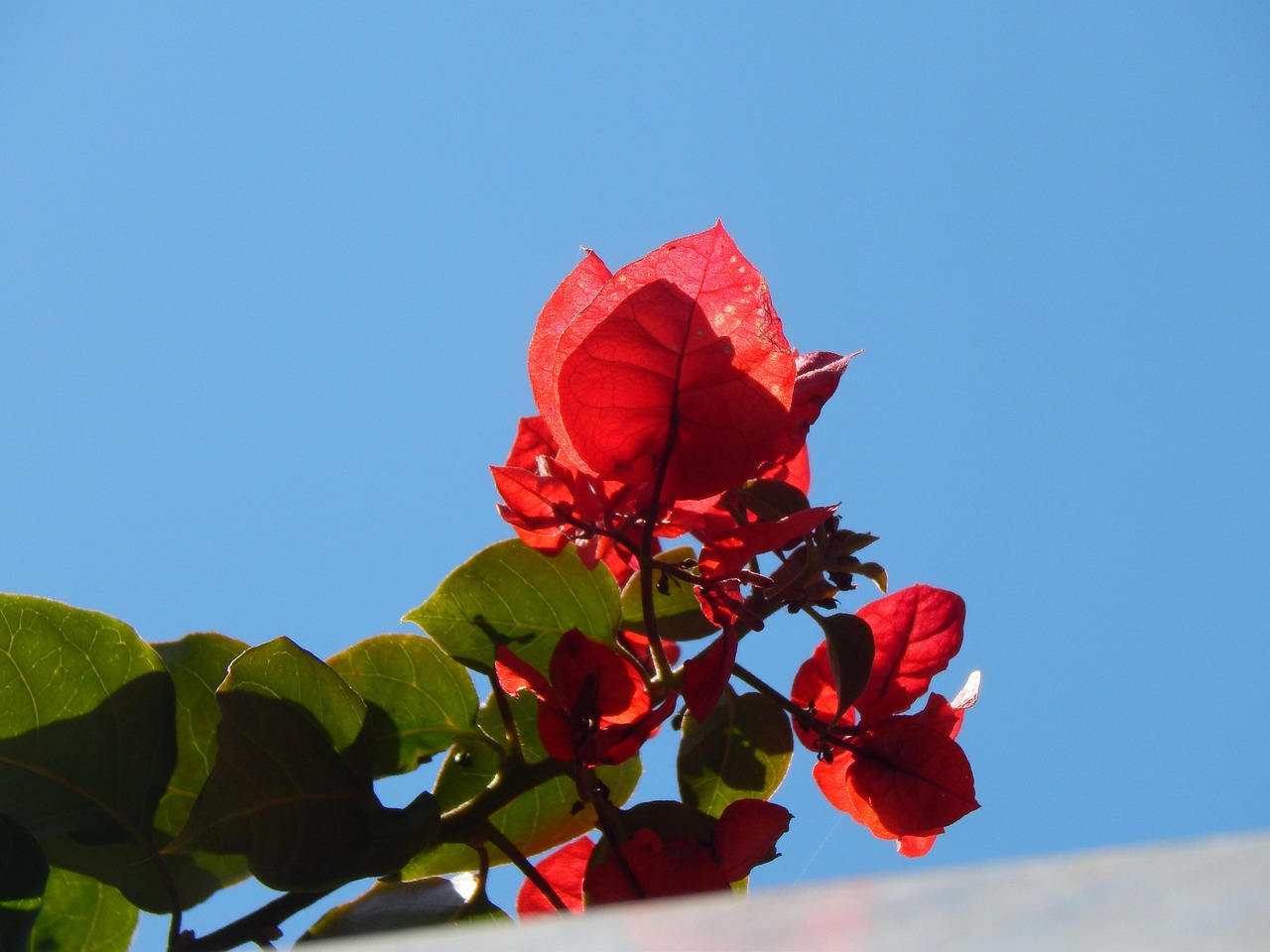 uncover-santa-rita-ranchs-surroundings-a-640x480-cuj21d