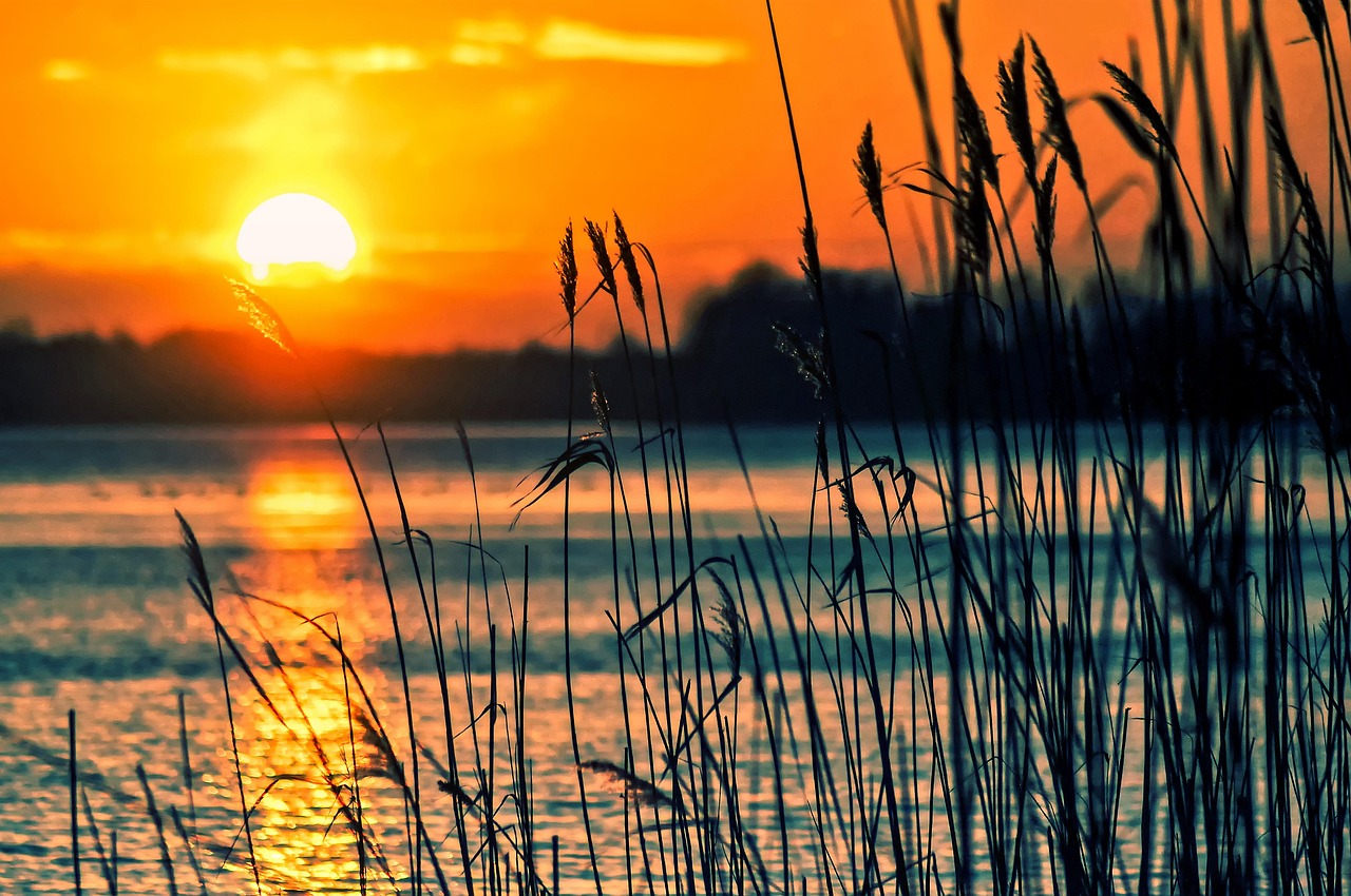 Uncover Sun Lakes Golf & Beyond: Your Ultimate Getaway