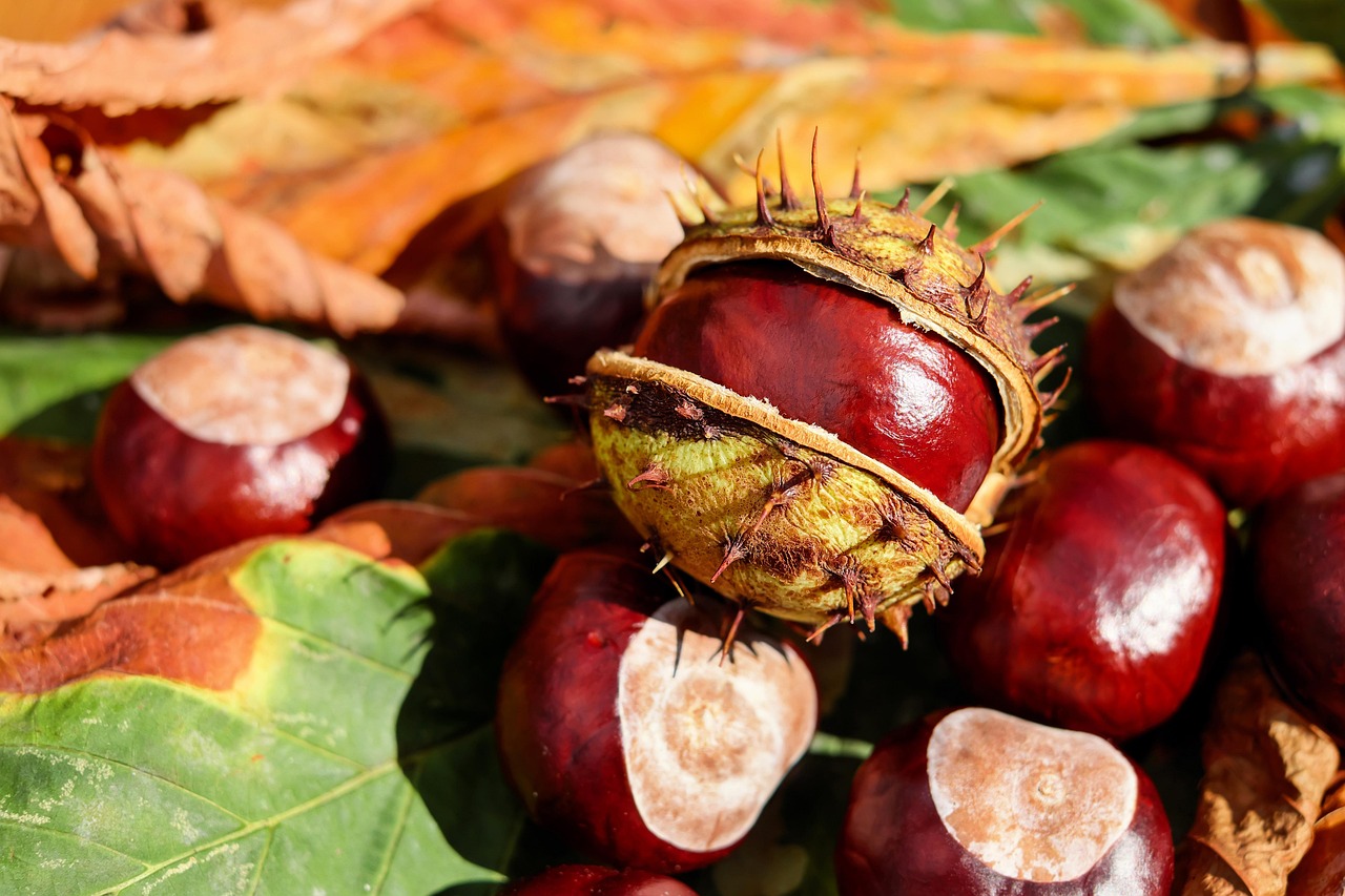 Uncover Tartesso: Culture, Adventure, and Local Flavors Await