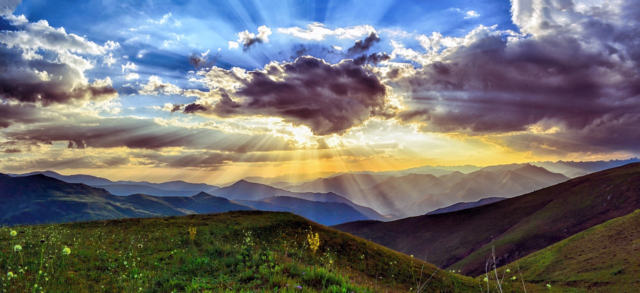 Uncover Tatum Highlands Charms: Nature, Culture & Dining