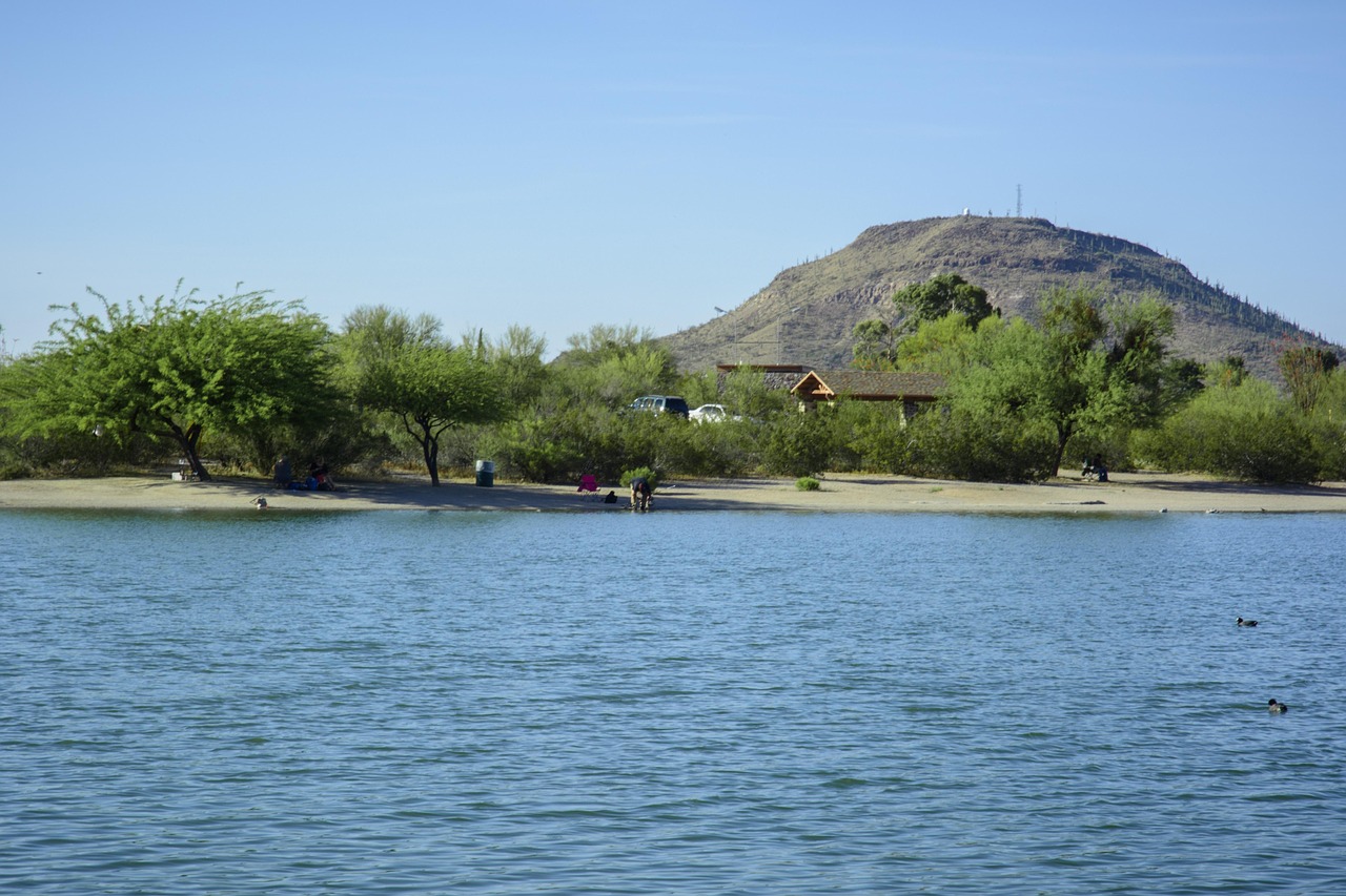 Uncover Tucson Mountain Parks Treasures and Beyond