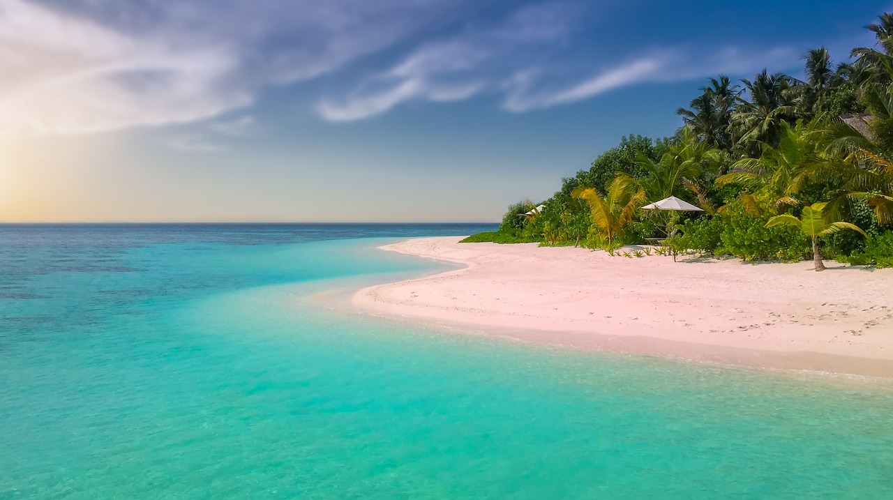 Unleash Paradise Reserve Success: Seller Strategies & Connections