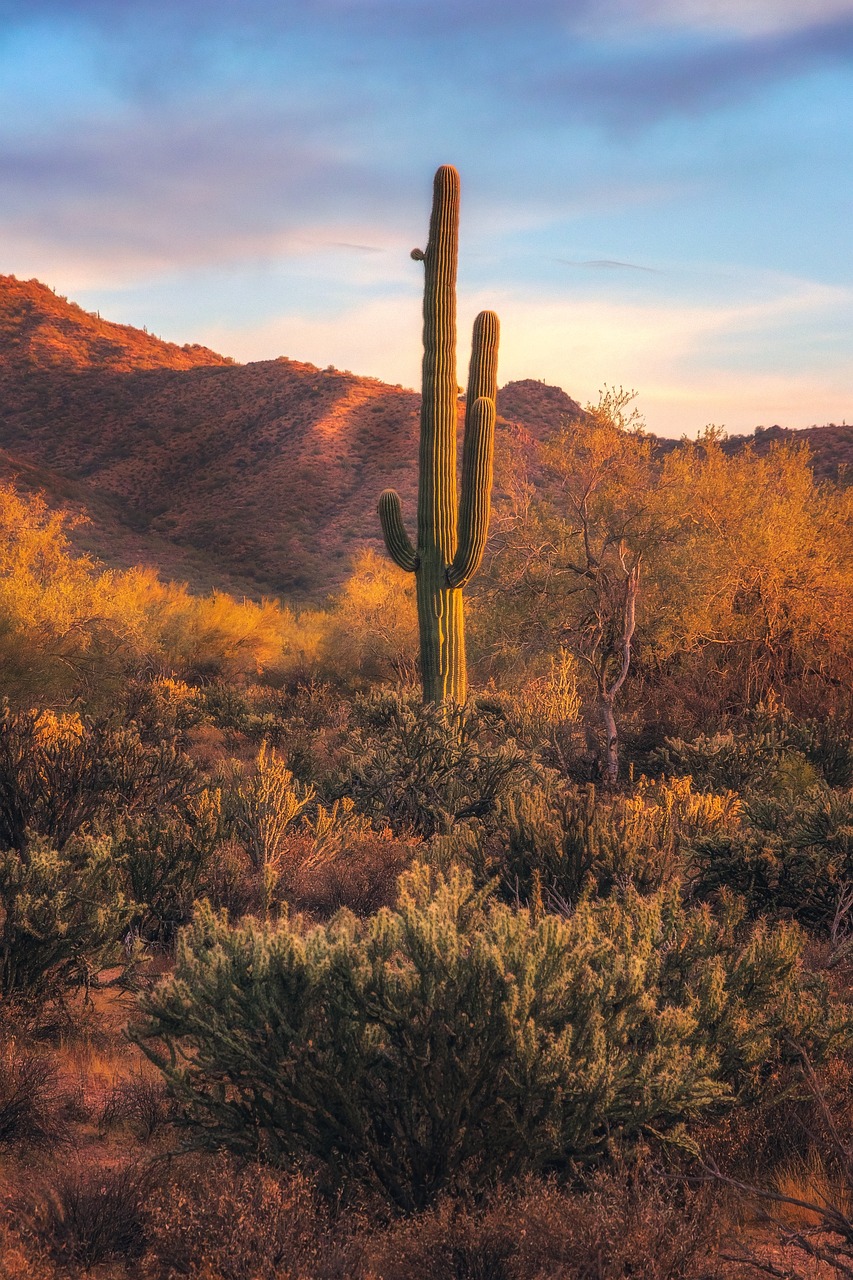 Unlocking Fountain Hills Arizona Real Estate Success Strategies