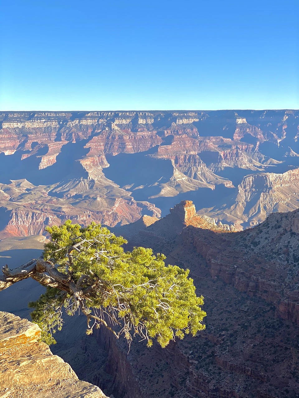 unveiling-arizonas-ancient-art-park-petr-640x480-19384j