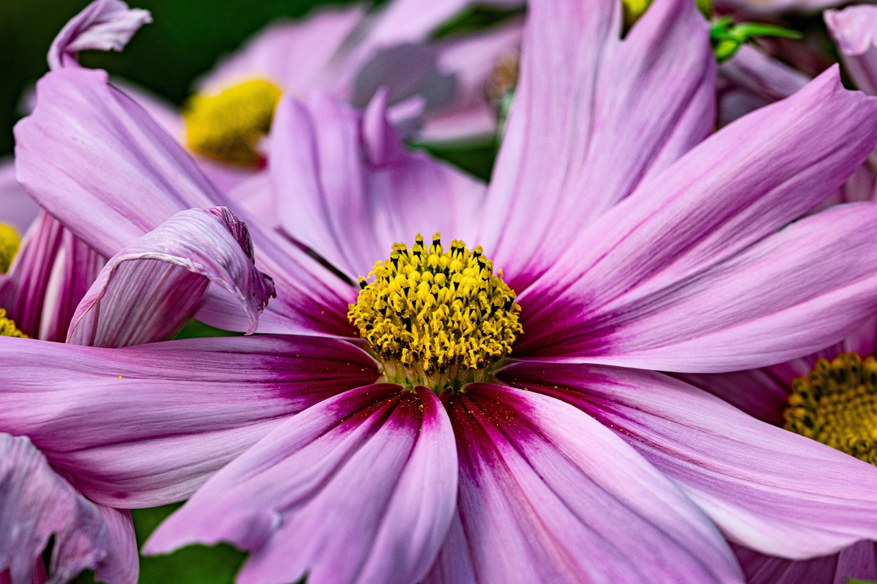 unveiling-creativity-and-natures-charm-n-640x480-bvxpyv