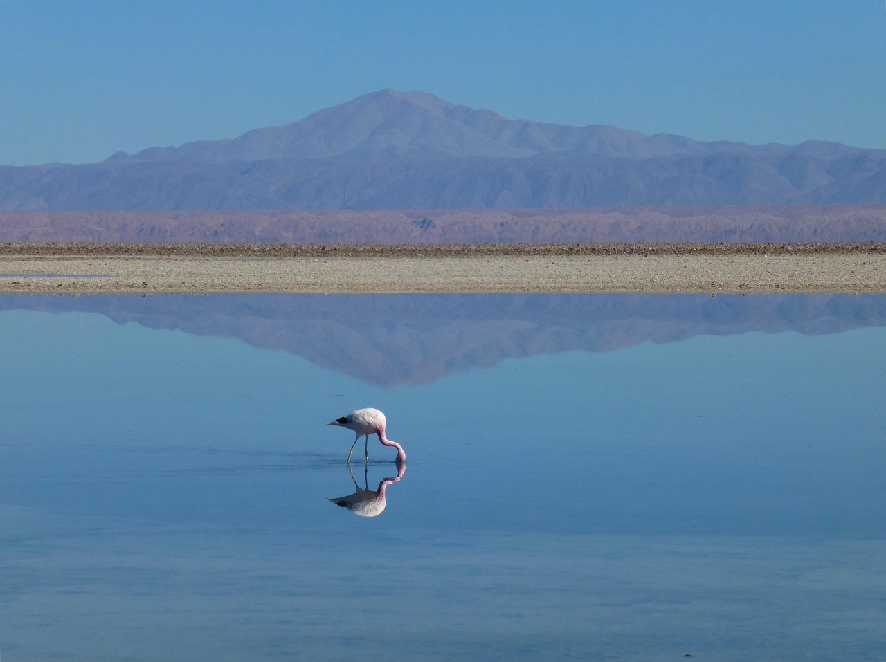 Unveiling Desert Mountain: Hiking, Culture, & Relaxation