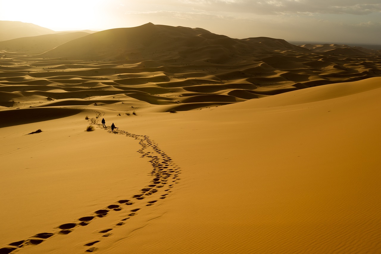 Unveiling Desert View Highlands: Homes for Sale in a Desirable Location